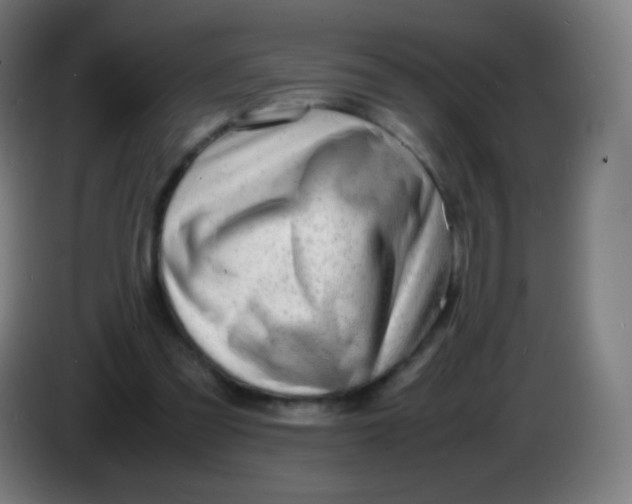 X0000085290301200703301944