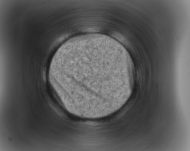 X0000085290302200703301944