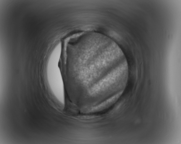 X0000085290303200703301944