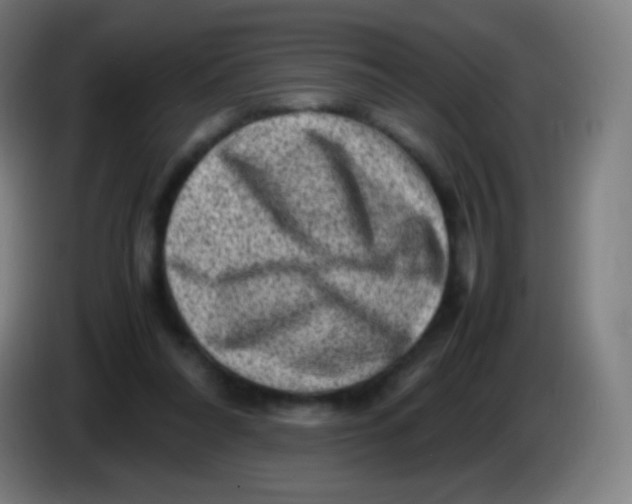 X0000085290304200703301944