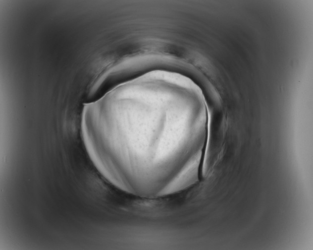 X0000085290305200703301944