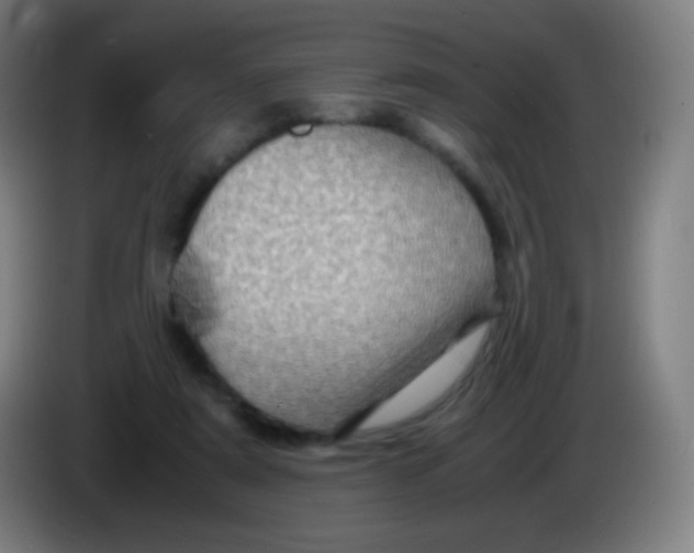 X0000085290307200703301944