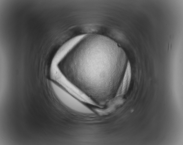 X0000085290315200703301944