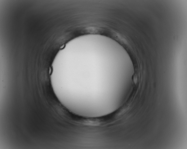 X0000085290317200703301944