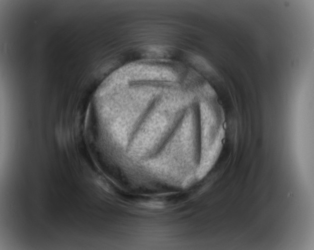X0000085290318200703301943