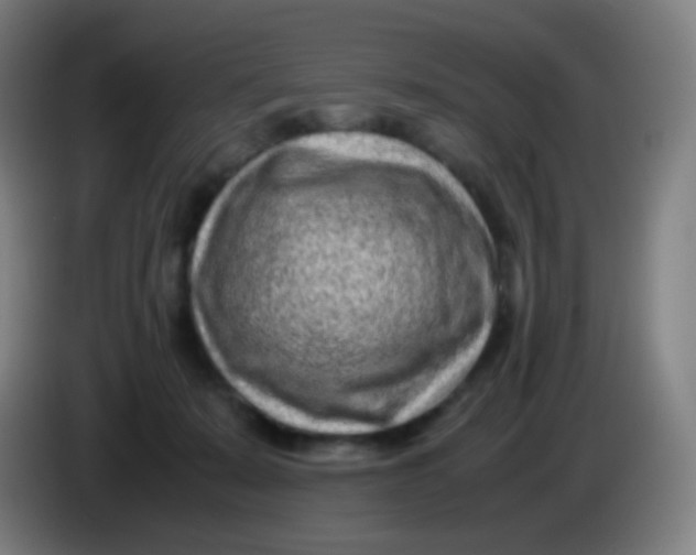 X0000085290319200703301943