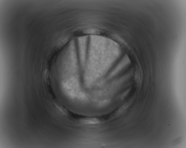 X0000085290322200703301943
