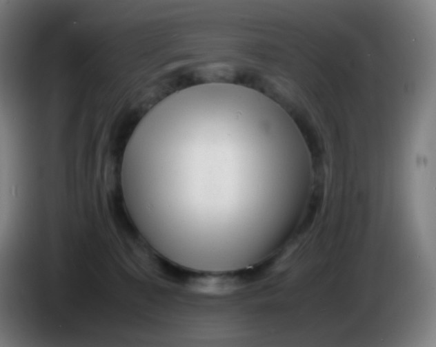 X0000085290323200703301943