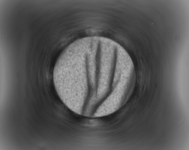 X0000085290324200703301943