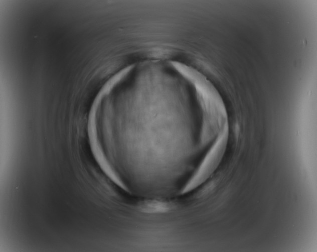 X0000085290325200703301943