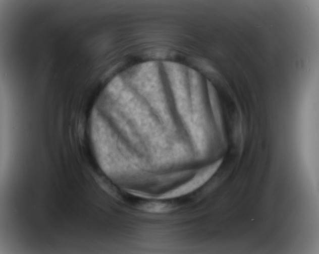 X0000085290326200703301943