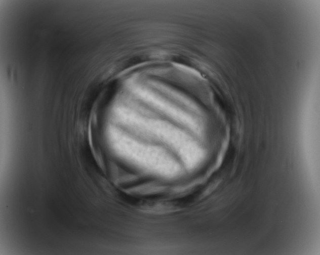 X0000085290329200703301943