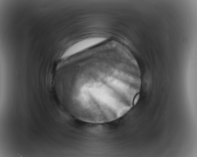 X0000085290330200703301943