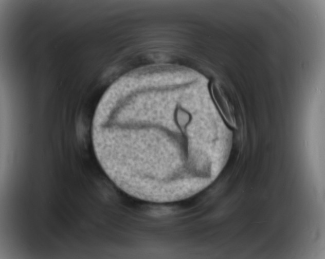 X0000085290332200703301943