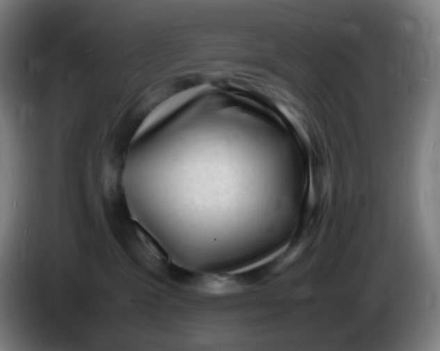 X0000085290333200703301943