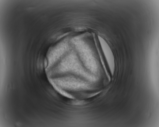 X0000085290334200703301943