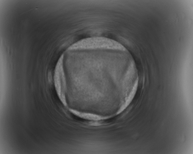 X0000085290335200703301943