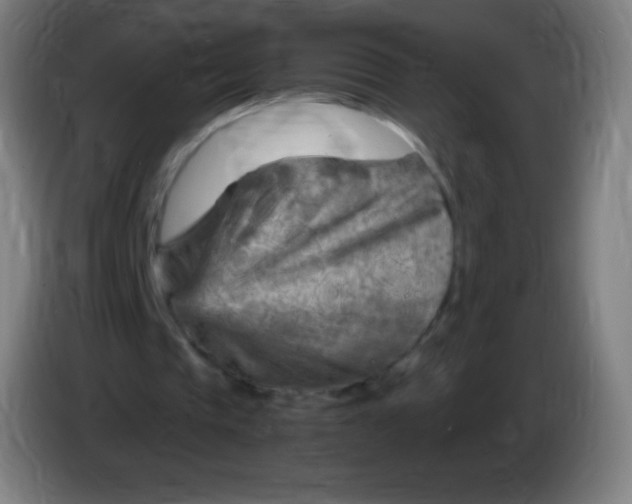 X0000085290337200703301943