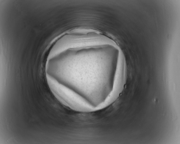 X0000085290338200703301943