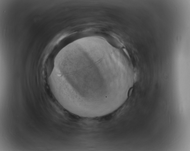 X0000085290339200703301943