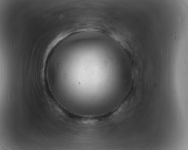 X0000085290340200703301943