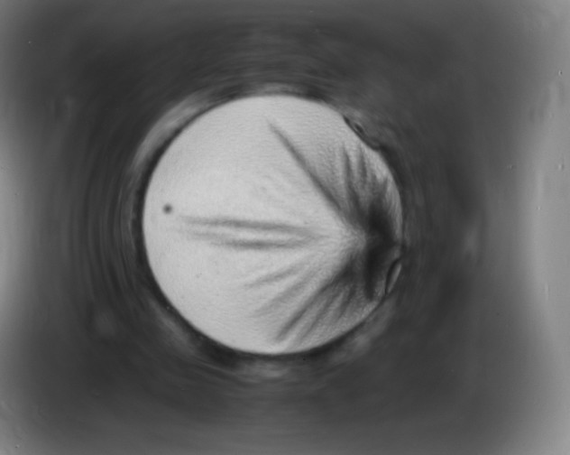 X0000085290341200703301943