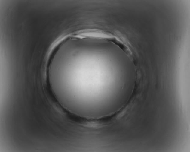 X0000085290344200703301943