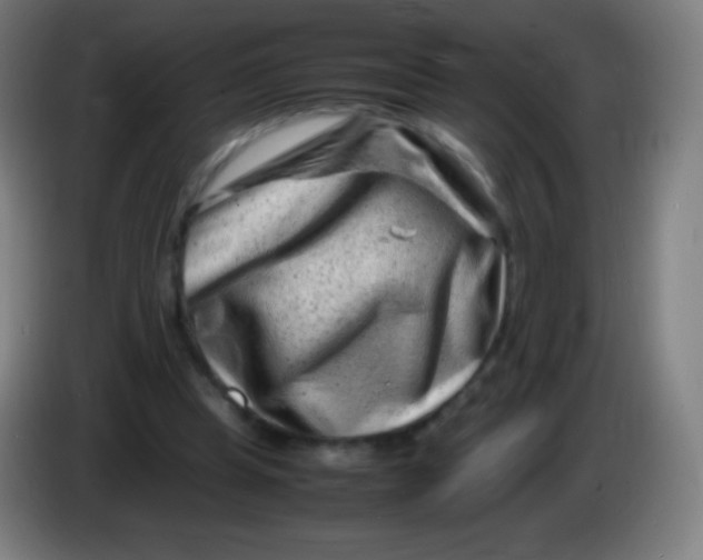 X0000085290345200703301943