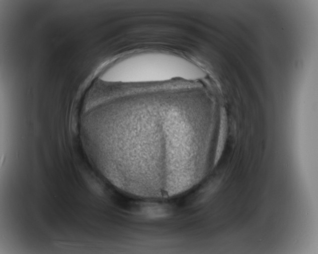 X0000085290347200703301943