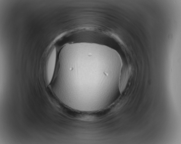 X0000085290348200703301943