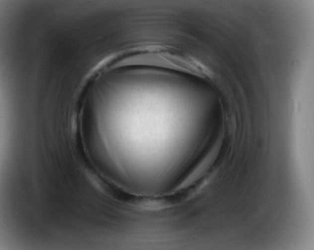X0000085290350200703301943