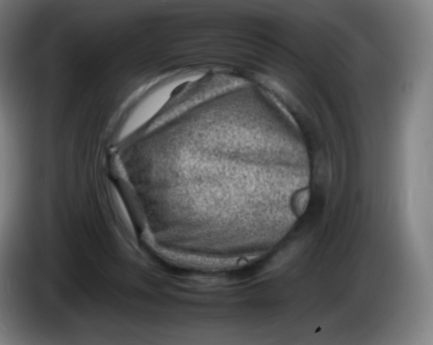 X0000085290351200703301943