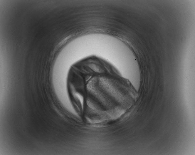 X0000085290352200703301943