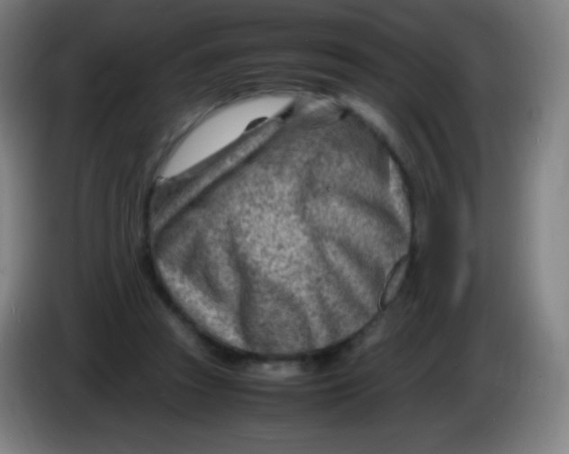 X0000085290353200703301943