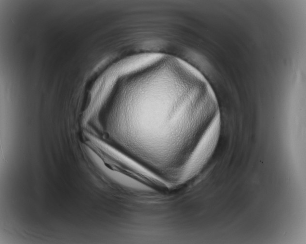 X0000085290354200703301943