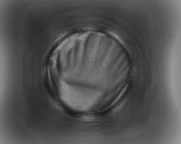 X0000085290355200703301943