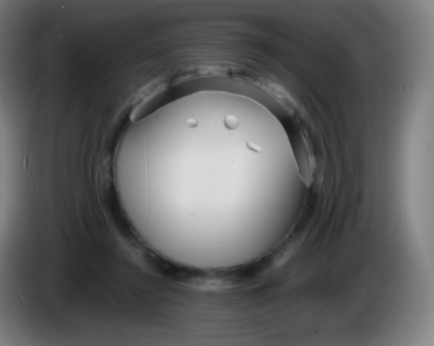 X0000085290356200703301943