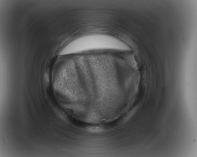 X0000085290358200703301943