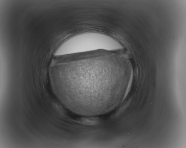 X0000085290359200703301943
