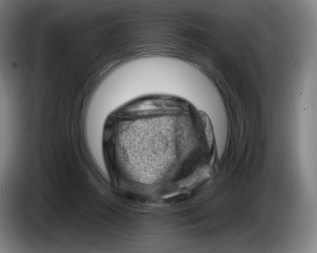 X0000085290360200703301943