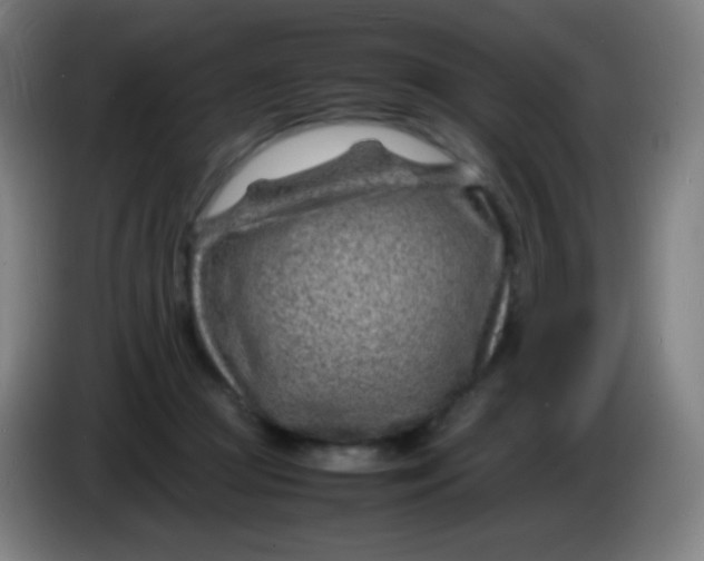 X0000085290361200703301943