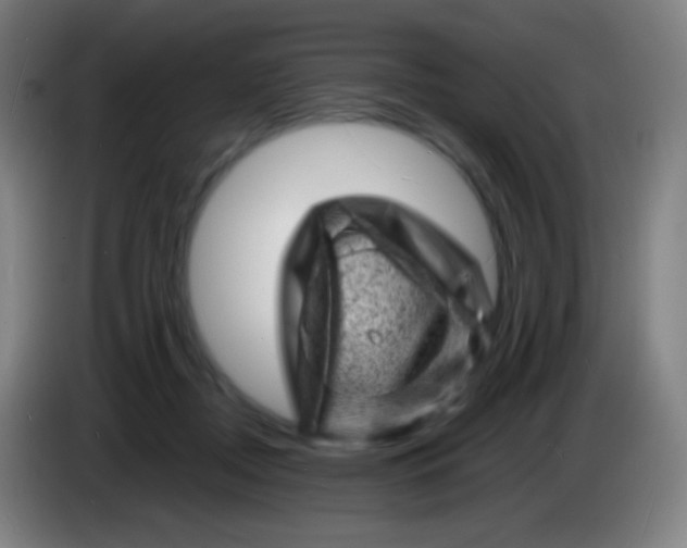 X0000085290362200703301943