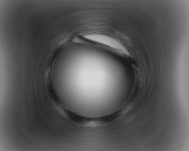 X0000085290364200703301943