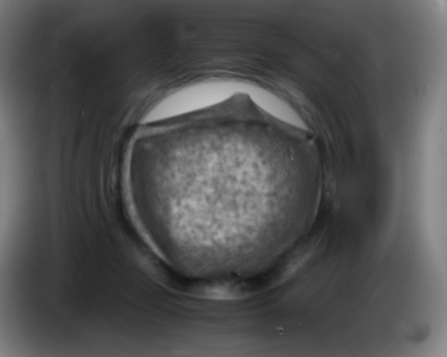 X0000085290365200703301943