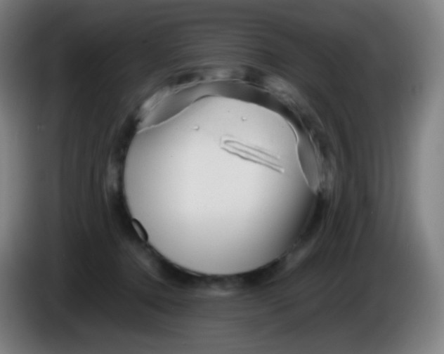 X0000085290368200703301943