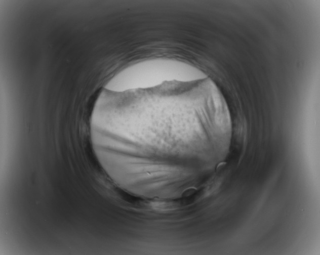 X0000085290371200703301943