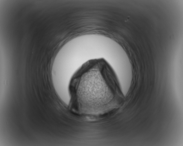 X0000085290372200703301943
