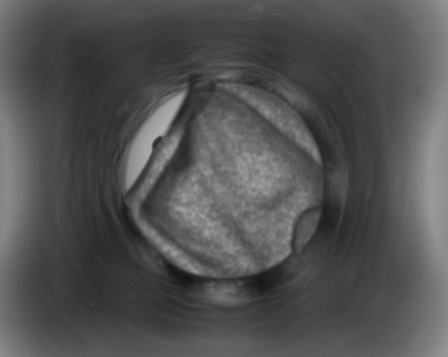 X0000085290373200703301943