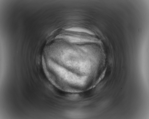 X0000085290374200703301943
