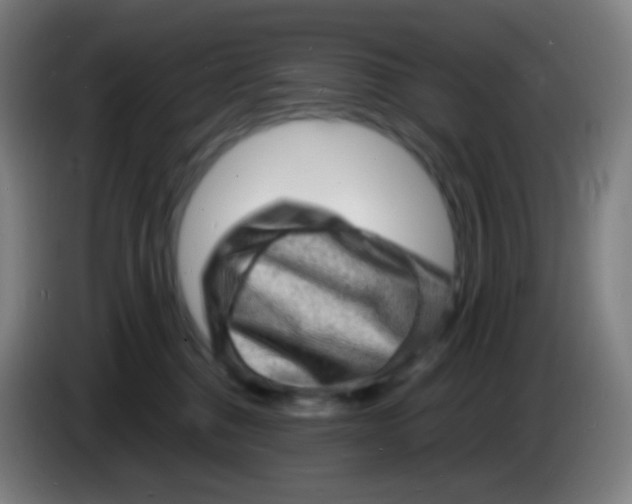 X0000085290376200703301943
